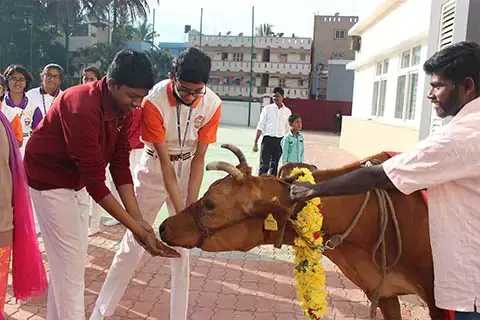 makara-sankranti